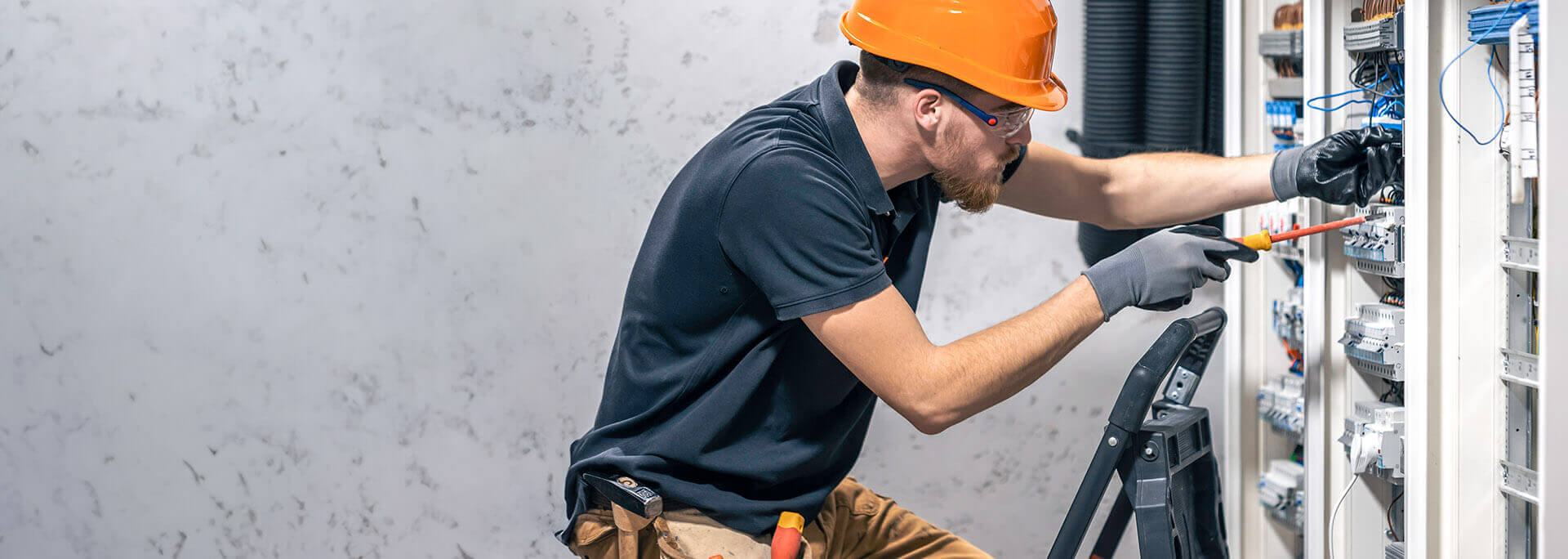 Domes Electric photo 2