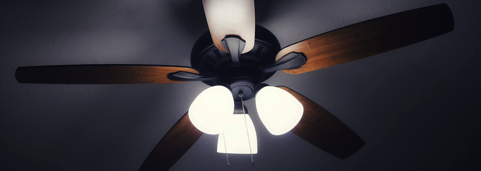 Domes Electric photo 3